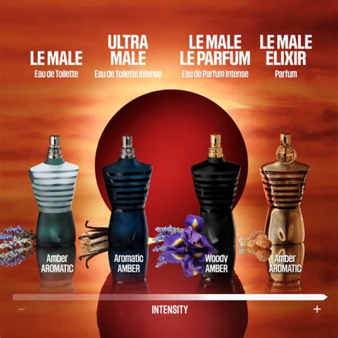 jpg le male elixir dupe